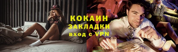 шишки Белокуриха