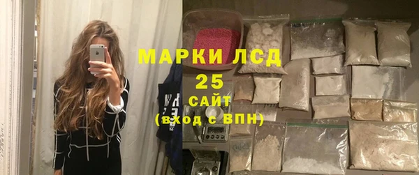 шишки Белокуриха