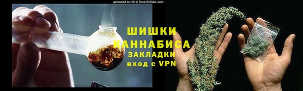 шишки Белокуриха