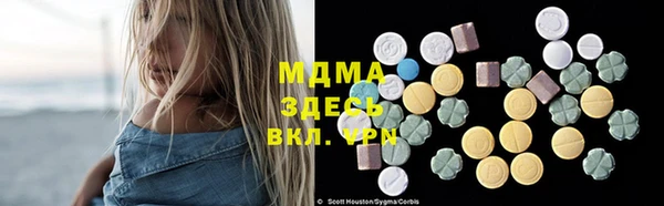 шишки Белокуриха