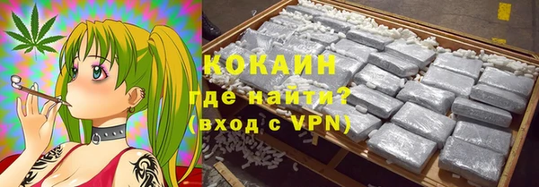 шишки Белокуриха