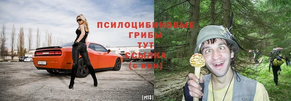 дмт Алексеевка