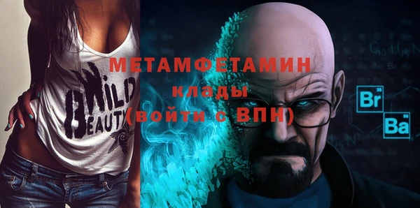 шишки Белокуриха