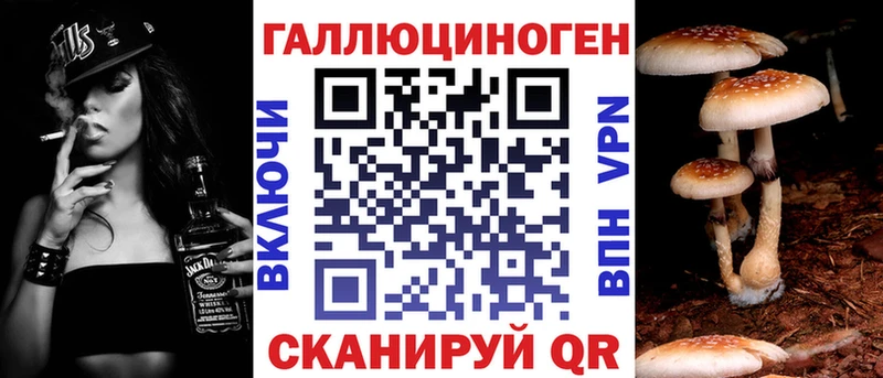 продажа наркотиков  Кировск  Галлюциногенные грибы Psilocybe 