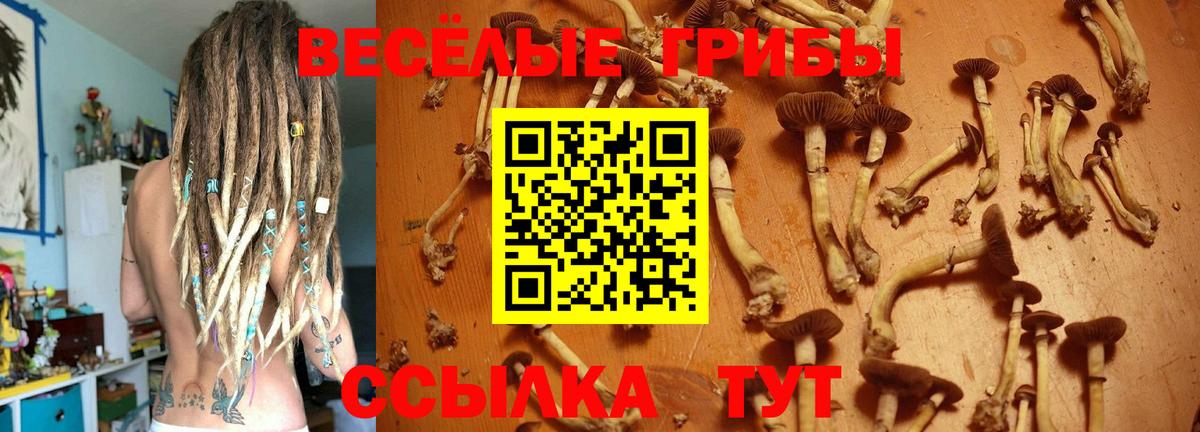 Псилоцибиновые грибы ЛСД  Вход с VPN  Псилоцибиновые грибы MAGIC MUSHROOMS  Кировск 