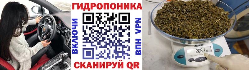 Бошки Шишки THC 21%  хочу   Кировск 